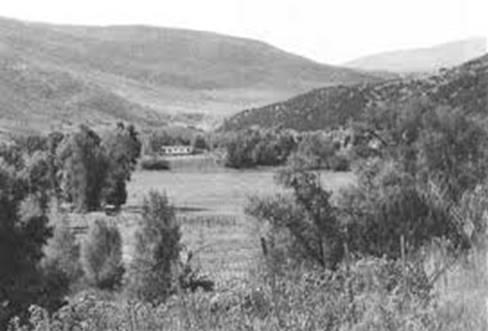 Image 25