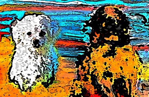 Image 31