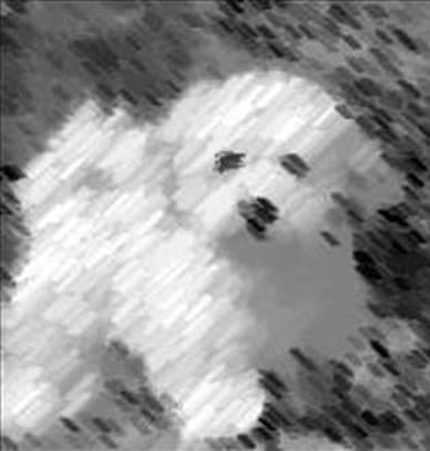 Image 37