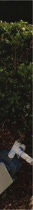 Image 114