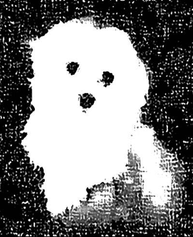 Image 22