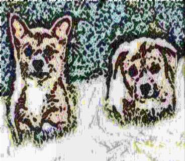 Image 31
