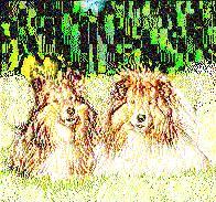 Image 34