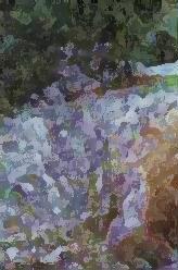 Image 39