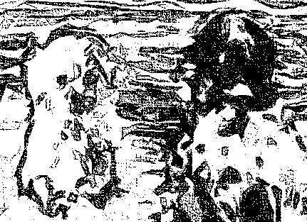 Image 45