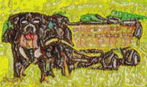 Image 172