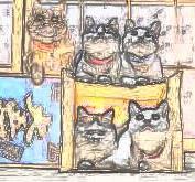 Image 30