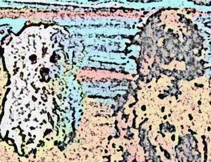 Image 32