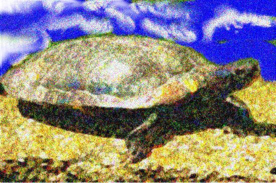 Image 55