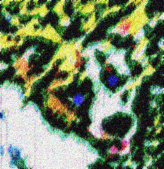 Image 57