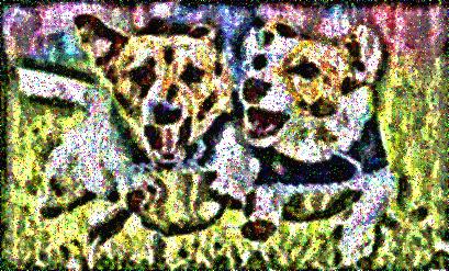 Image 17