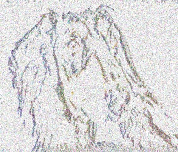 Image 24