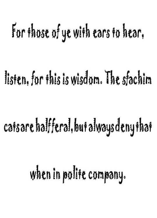 Image 23