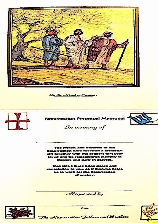 Image 31