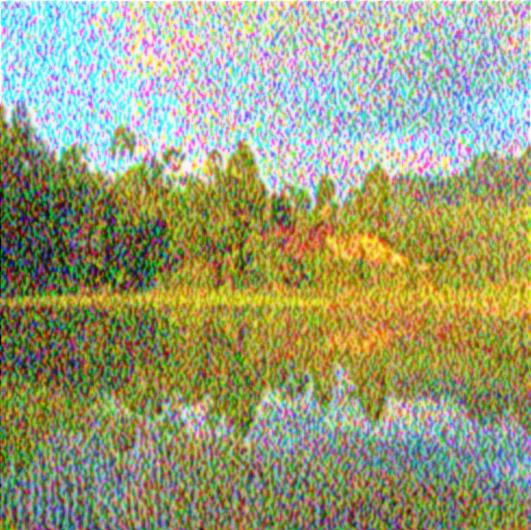 Image 21