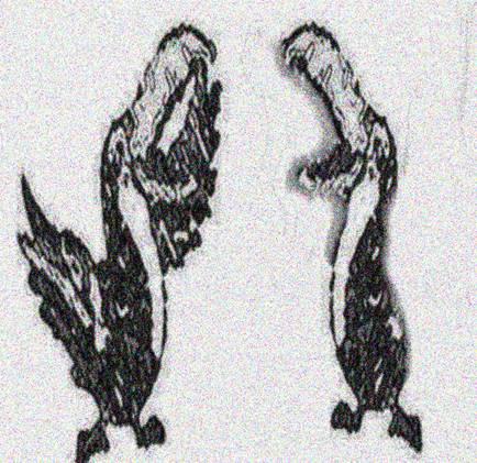 Image 16