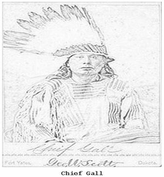 Image 31