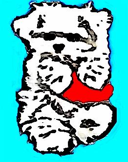 Image 40