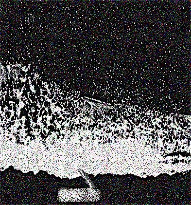 Image 41
