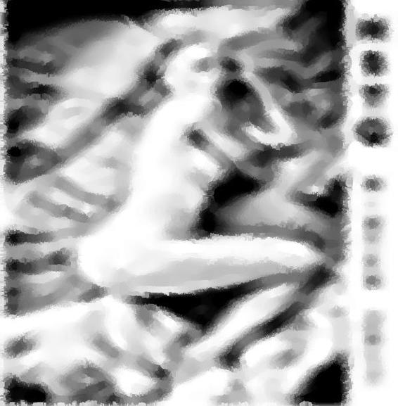 Image 52
