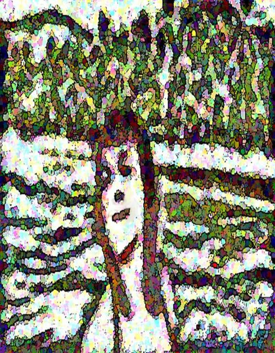Image 76