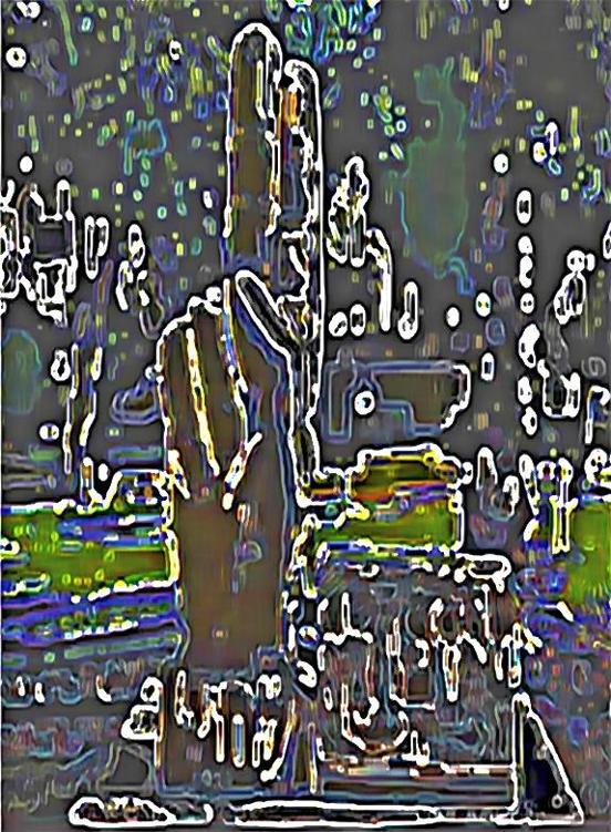 Image 88