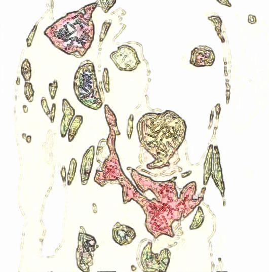 Image 29