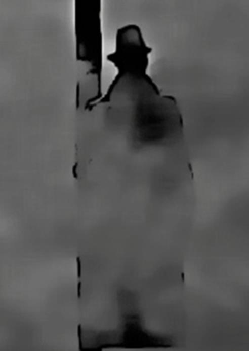 Image 35