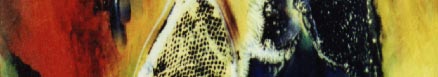 Image 30
