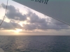 User's Picture