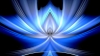 User's Picture