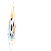 User's Picture