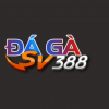 User's Picture