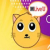 User's Picture