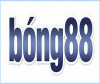 User's Picture