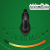 User's Picture