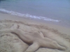 User's Picture