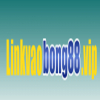 User's Picture
