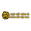 User's Picture