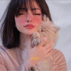 User's Picture