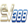 User's Picture