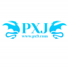User's Picture