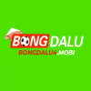User's Picture