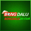 User's Picture