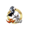 User's Picture