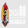 User's Picture