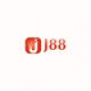 User's Picture
