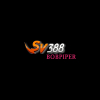User's Picture