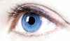 User's Picture