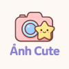 User's Picture